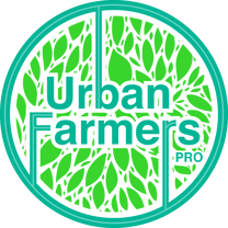 Logo-1-1