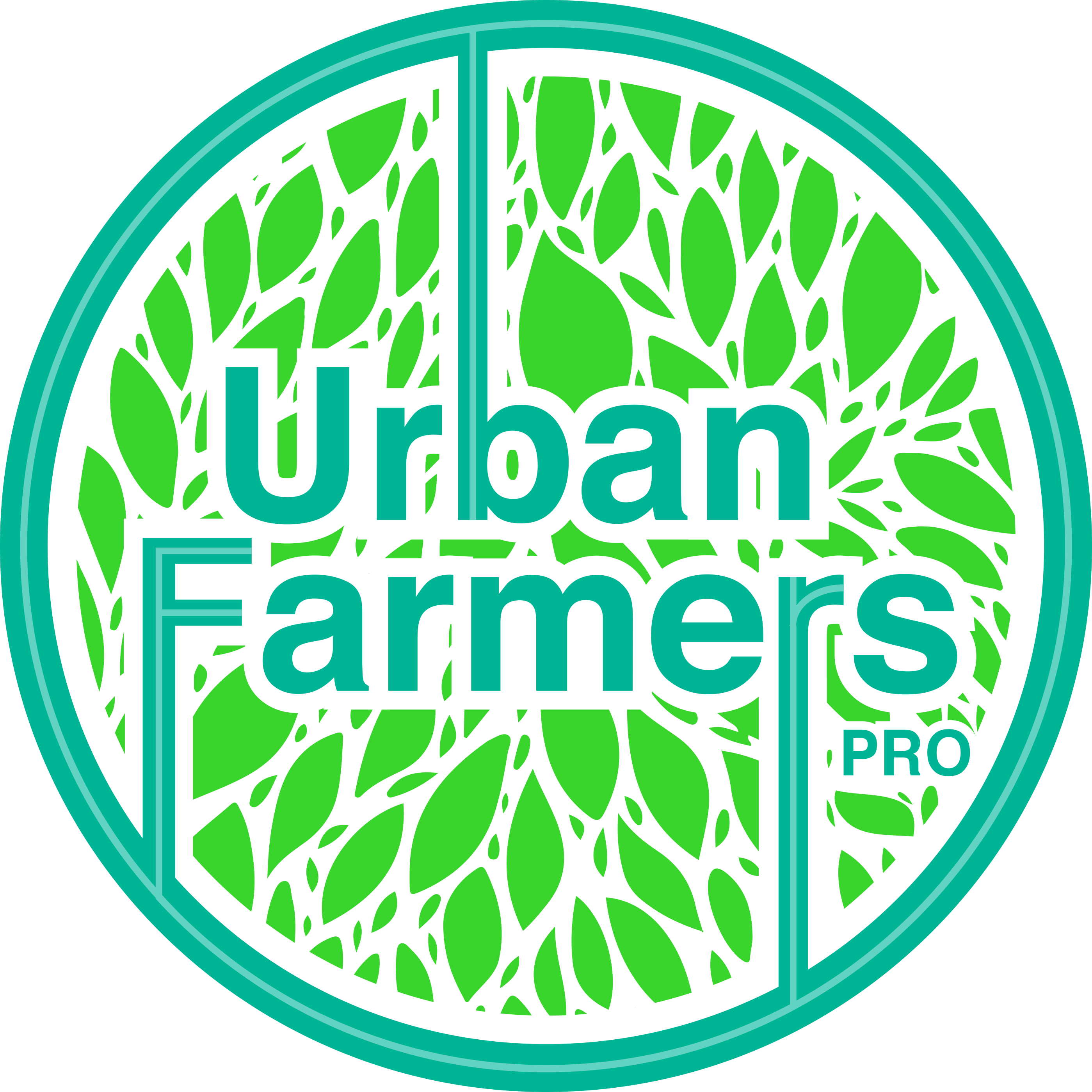 Logo-1